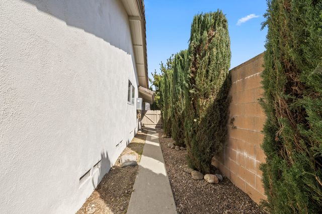 Narrow concrete side-yard walkway between a stucco house wall and a block wall lined with tall cypress trees, a wood gate at the far end